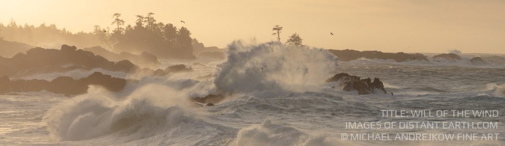 Luxury Fine Art seascape ocean waves surf Will of the Wind Michael Andrejkow