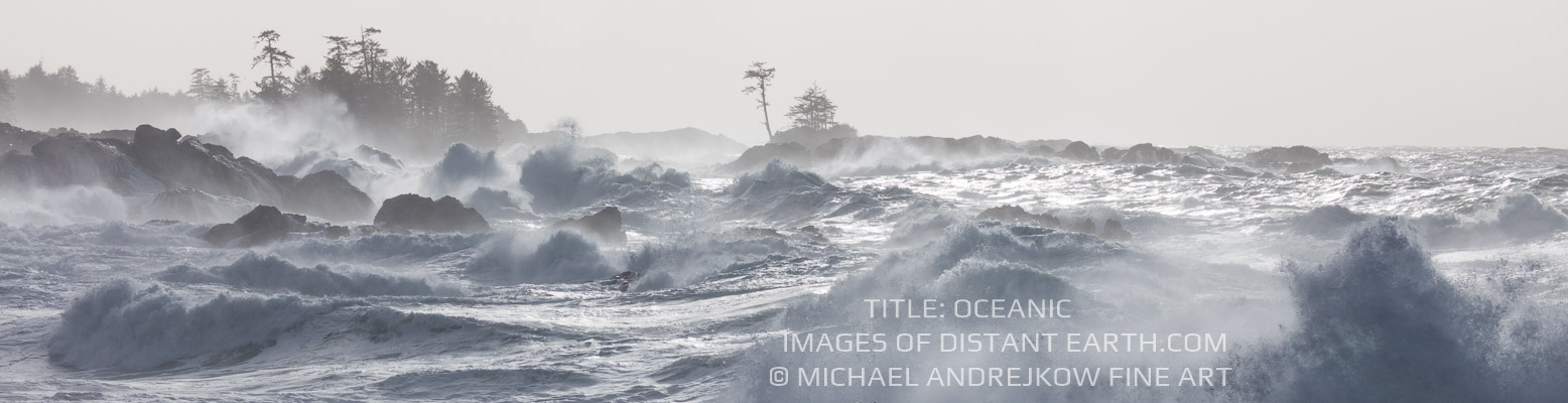 Vancouver Island Fine Art seascape ocean waves surf Michael Andrejkow