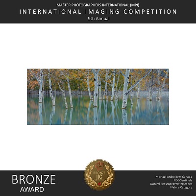 Aspen Tree in Water Reflection Fine Art Photography
