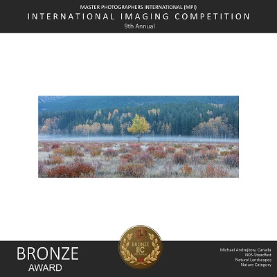 Banff Fine Art Photography Print Canadian Rocky Mountains Aspen