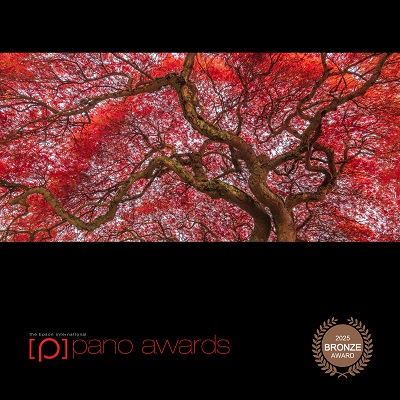 Rouge Japanese Maple Luxury Fine Art Panorama Print Michael Andrejkow Wall Artwork Award