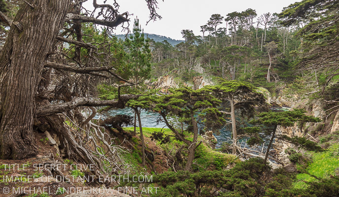 Secret Cove Luxury Fine Art Cypress Tree Photography Michael Andrejkow Wall Artwork