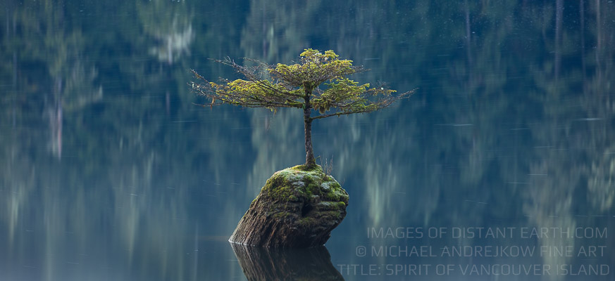 Spirit of Vancouver Island Luxury Fine Art Photography Collection Long Exposure Fairy Lake Bonzai Tree Michael Andrejkow
