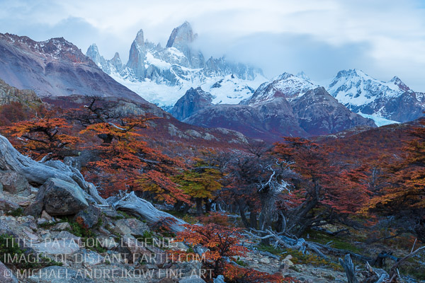 Patagonia Legends Fitz Roy Mountain Lenga Tree Forest Fall Colors Autumn Colours Orange Reds Michael Andrejkow Luxury Fine Art Photography Collection Wall Artwork Home Decor