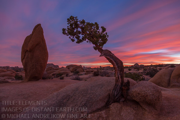 Elements Juniper Tree Desert Long Exposure Pink Sky Michael Andrejkow Luxury Fine Art Photography Collection Atworks Wall Art Home Decor Interior Design Prints For Sale