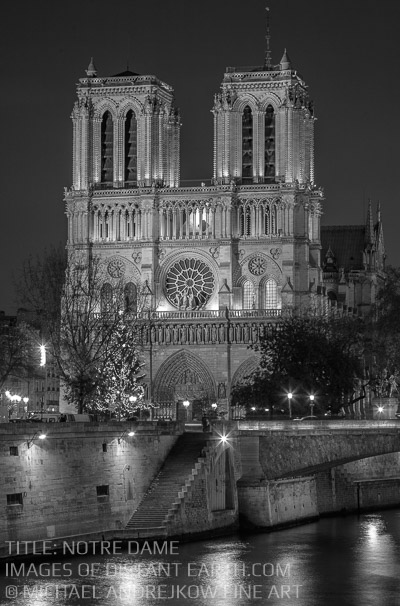 Notre Dame Cathedral Seine Paris France Michael Andrejkow Luxury Fine Art Photography Collection Wall Artworks Prints For Sale Home Decor Interior Design